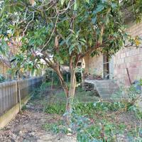 Montesilvano centro fabbricato da cielo a terra