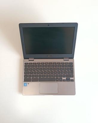Computer portatile ASUS chromebook C223