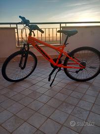 Bicicletta 24 pollici bambini 9/12 anni