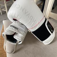 Guanti da boxe