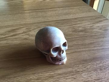 Fermacarte a forma di teschio