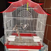 gabbia x pappagalli o uccelli