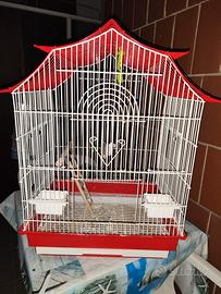 gabbia x pappagalli o uccelli