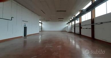 Ampio capannone lungo strada provinciale