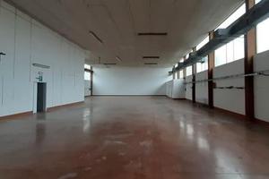 Ampio capannone lungo strada provinciale