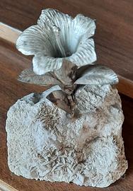 Genziana su dolomia di Mastro 7