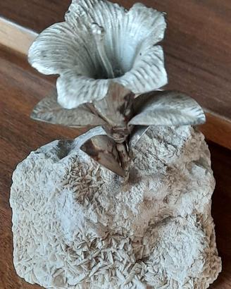 Genziana su dolomia di Mastro 7