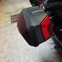Borse shad laterali moto z650