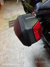 Borse shad laterali moto z650