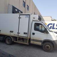 Iveco daily 65C18 Frigo con sponda a portafoglio