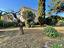 Immagine 15