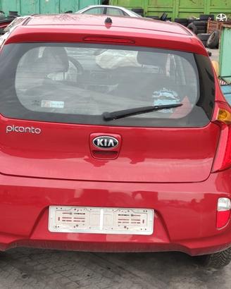 Portellone Kia Picanto 2014