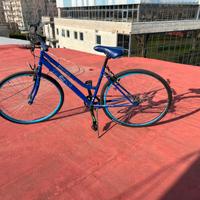 Bicicletta Blu