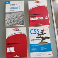 testi programmazione informatica 