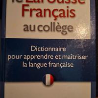 Dizionario francese