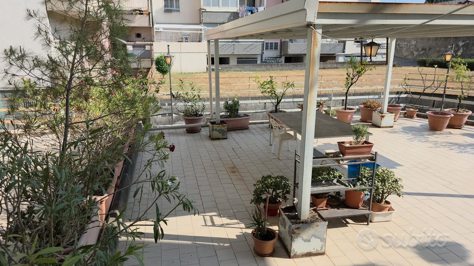 Appartamento – Giarre, Altarello - Vista 3