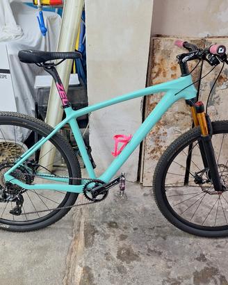 bicicletta mtb 29" full carbon