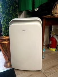 Condizionatore Deumidificatore Mobile 