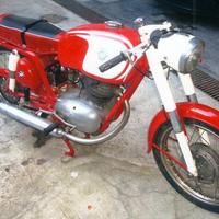 MV Agusta Altro modello - 1961