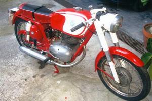 MV Agusta Altro modello - 1961