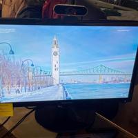 Monitor 22” LED Samsung o Philips