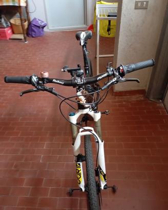buona MTB in carbonio