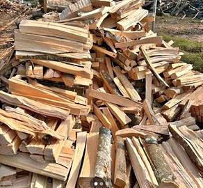 legna da ardere secca