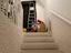 Immagine 23
