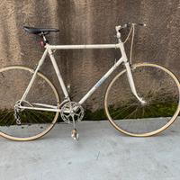 Bici uomo palmer