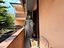 Immagine 12