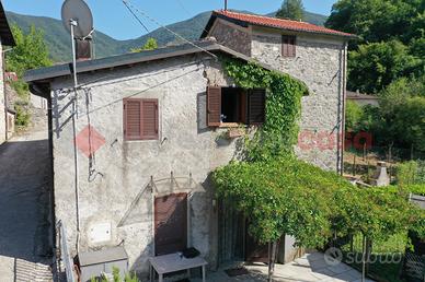 Terratetto Vagli Sotto [UG528DVVRG]