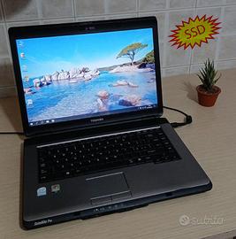 Notebook Toshiba con Windows 10 e SSD