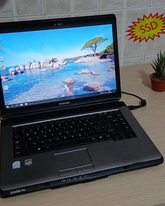 Notebook Toshiba con Windows 10 e SSD