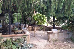 Maremma nuda proprieta' campagna villetta RIBASSO