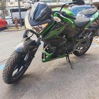 Kawasaki Z 300