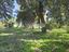 Immagine 20