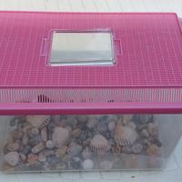 Aquario e tartarughiera