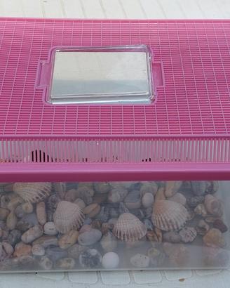 Aquario e tartarughiera