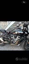 Harley pan america