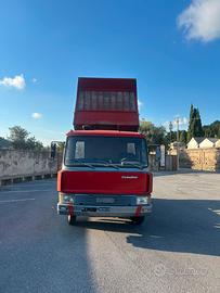 Iveco autocarro