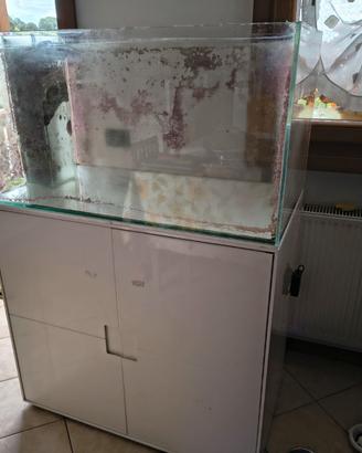 acquario marino