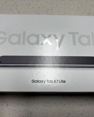 Samsung Galaxy Tab A7 Lite 3+32GB Gray, SM-T220 22