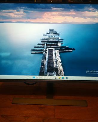 Monitor 24" Hannspree 