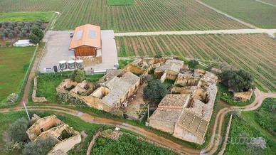 Azienda Agricola - Vittoria