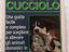 Immagine 1