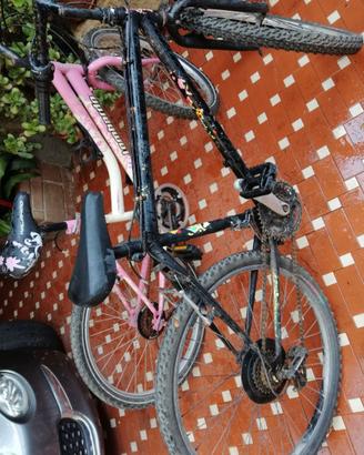 Due bici in blocco uomo- donna