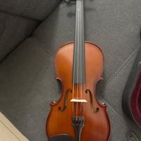 Violino