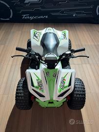 Quoad Lem grizzly elettrico