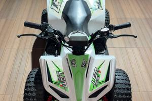 Quoad Lem grizzly elettrico
