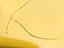 Immagine 27